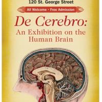 Poster of the brain exhibition