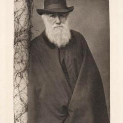 Portrait of Charles Darwin