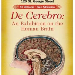 Poster of the brain exhibition
