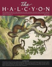 Cover of the December 2020 issue of the Halcyon