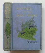 Publisher cloth binding of Romance of the Insect World